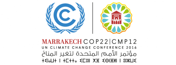 COP22 cover