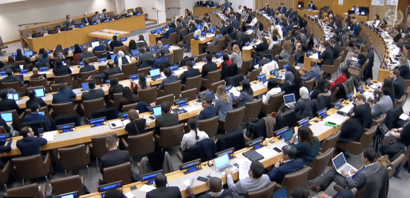 UN resolution calls for a second International Year of Cooperatives in 2025