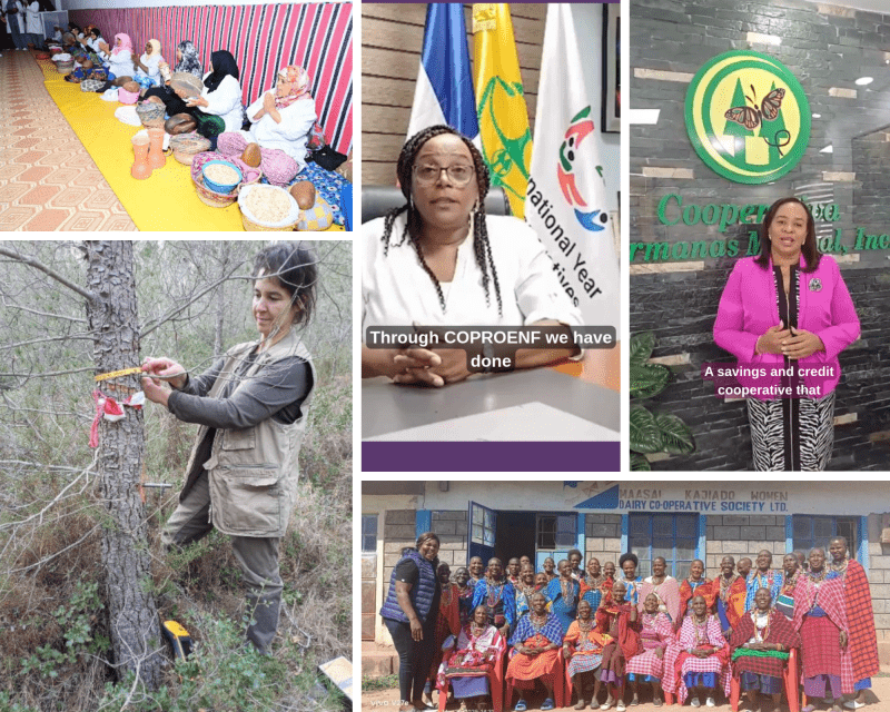 Women Transforming Cooperativism