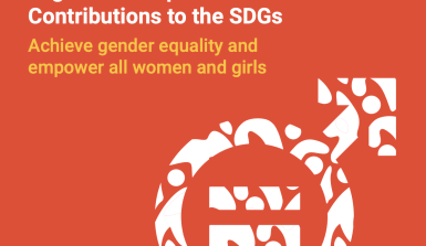 iyc-sdgs briefs