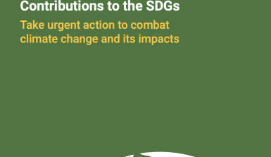 SDG 13 climate action