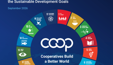 SDG Briefs - Consolidated Report