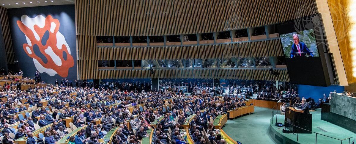 UN GA for IYC2025